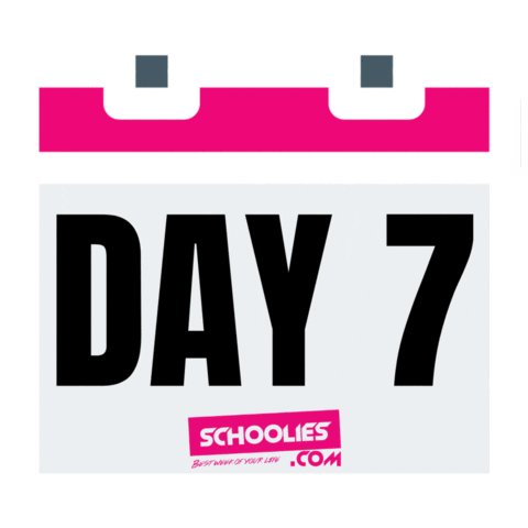 Day 7 GIF by Schoolies