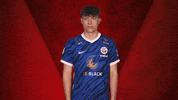 Hansa Rostock Vbl GIF by Bundesliga