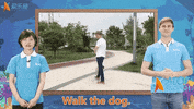 dog walk GIF by ALO7.com