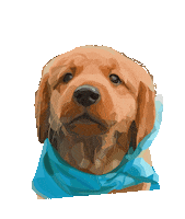 pawdesignco puppy golden retriever cute puppy golden retriever puppy Sticker