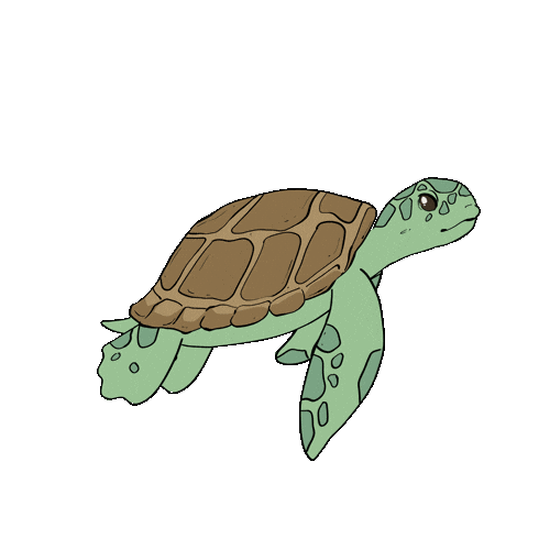 Sea Turtle Sticker by ardhanipm