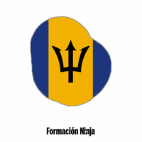 Flag Bb GIF by Formación Ninja