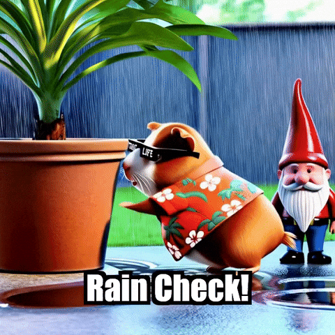 Garden Rain Check GIF by Guinea Gambino