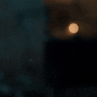 Xmas GIF by BILLA