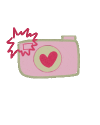 karenazedinha_ camera rosa coracao verde Sticker