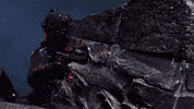 Gun Cod GIF by Call of Duty