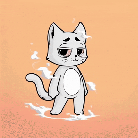 HeroGalaxyNFT cat cats high stoned GIF