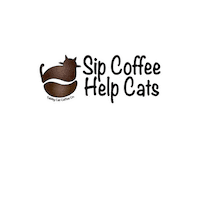 tabbycatcoffee coffee cats tabbycatcoffee tabby cat coffee Sticker