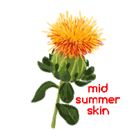 Sticker by midsummer skincare