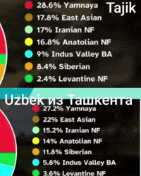 Uzbek GIF