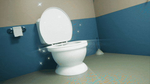 Cool School Bathroom GIF