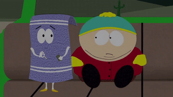 Hotboxing With Towelie