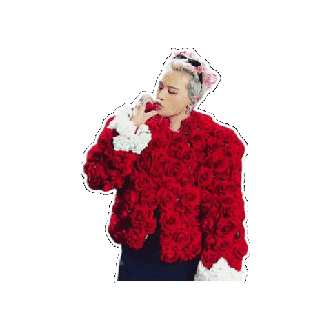 G-Dragon Concert Sticker
