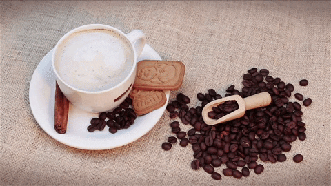 canchacafe giphyupload GIF