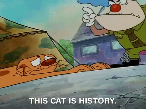 nicksplat GIF