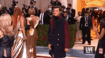 Shawn Mendes GIF by E!