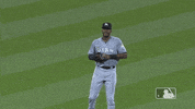 marlins celebrates GIF by MLB