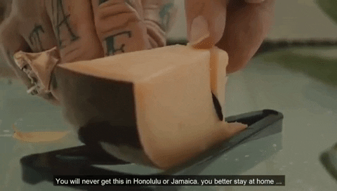 crazy-cheese giphygifmaker GIF