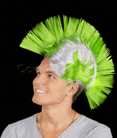Mohawk GIF