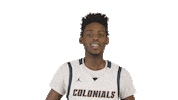 Western Connecticut State University Basketball Sticker by WCSU