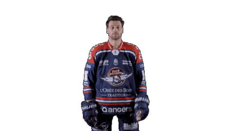 Ducs Dangers Hockey Sticker by Les Ducs d'Angers