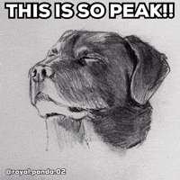 Happy Anthony Mackie GIF