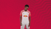 Oh Yeah Yes GIF by RB Leipzig