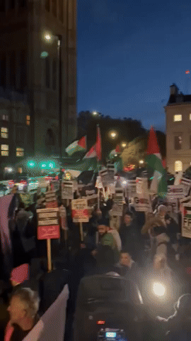 Crowds Gather in Westminster For Pro-Palestine Rally