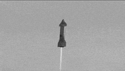 Elon Musk GIF by Luis Ponce
