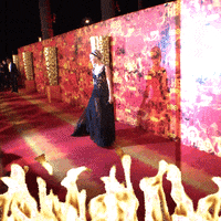 red carpet emmys 2015 GIF by HBO