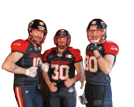 Friends Team Sticker by Düsseldorf Panther