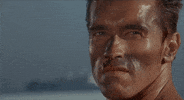 Arnold Schwarzenegger No GIF