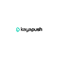 Tech Company Hr Sticker by Push Operations