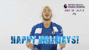 premier league GIF by NBC Sports Soccer