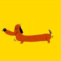 Who Let the Dog Out