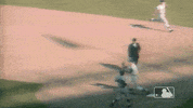 Celebrate Ny Mets GIF by New York Mets