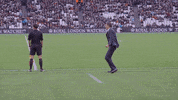happy west ham GIF by West Ham United