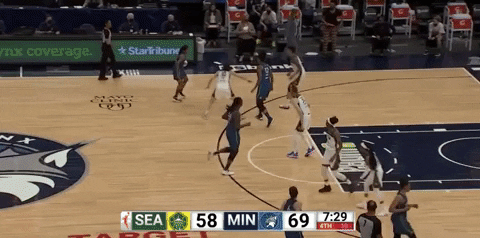 seehafer giphygifmaker wnba GIF