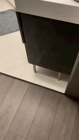 cuteanimalland giphyupload GIF