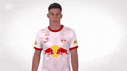 Red Bull Sport GIF by FC Red Bull Salzburg