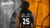 Sport Basketball GIF by Basket_fi
