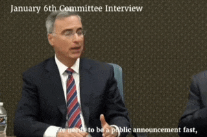 January 6 GIF by GIPHY News