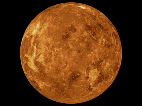asudeasar giphyupload GIF