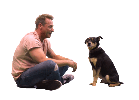 High Five Dog Sticker by RTLde