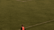 LafayetteLeopards moyse GIF