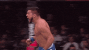 kelvin gastelum ufc GIF