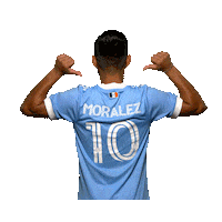 New York City Fc Reaction Sticker by NYCFC