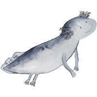 Happy Feliz Sticker by Mr. & Mrs. Panda