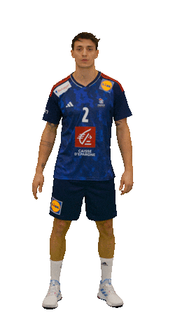 Ffhandball Sticker by Fédération Française de Handball