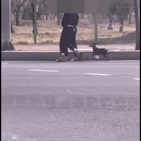 Idontknowaboutit giphyupload GIF